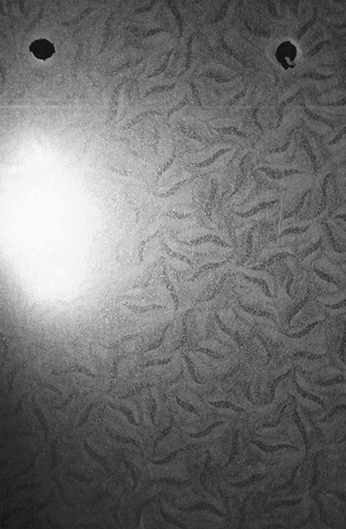 Schwarzweißaufnahme. Gemustertes Transparentpapier aus einem Fotoalbum, im Lampenlicht eines Schreibtischs fotografiert.